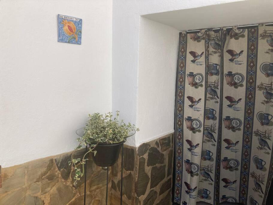 Casa Cueva Rural Estacion De Guadix 빌라 외부 사진